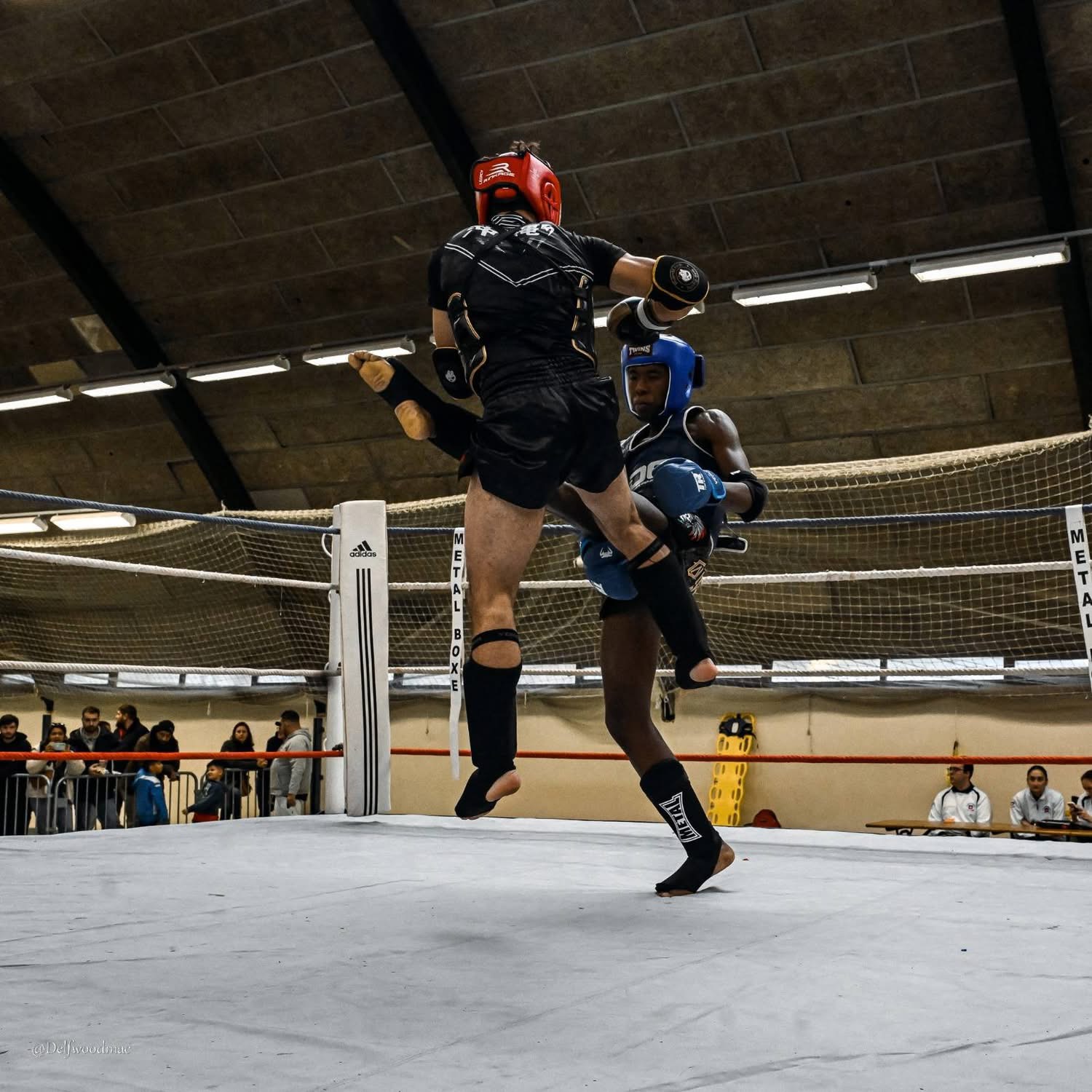 Compétitions & Gala - 2