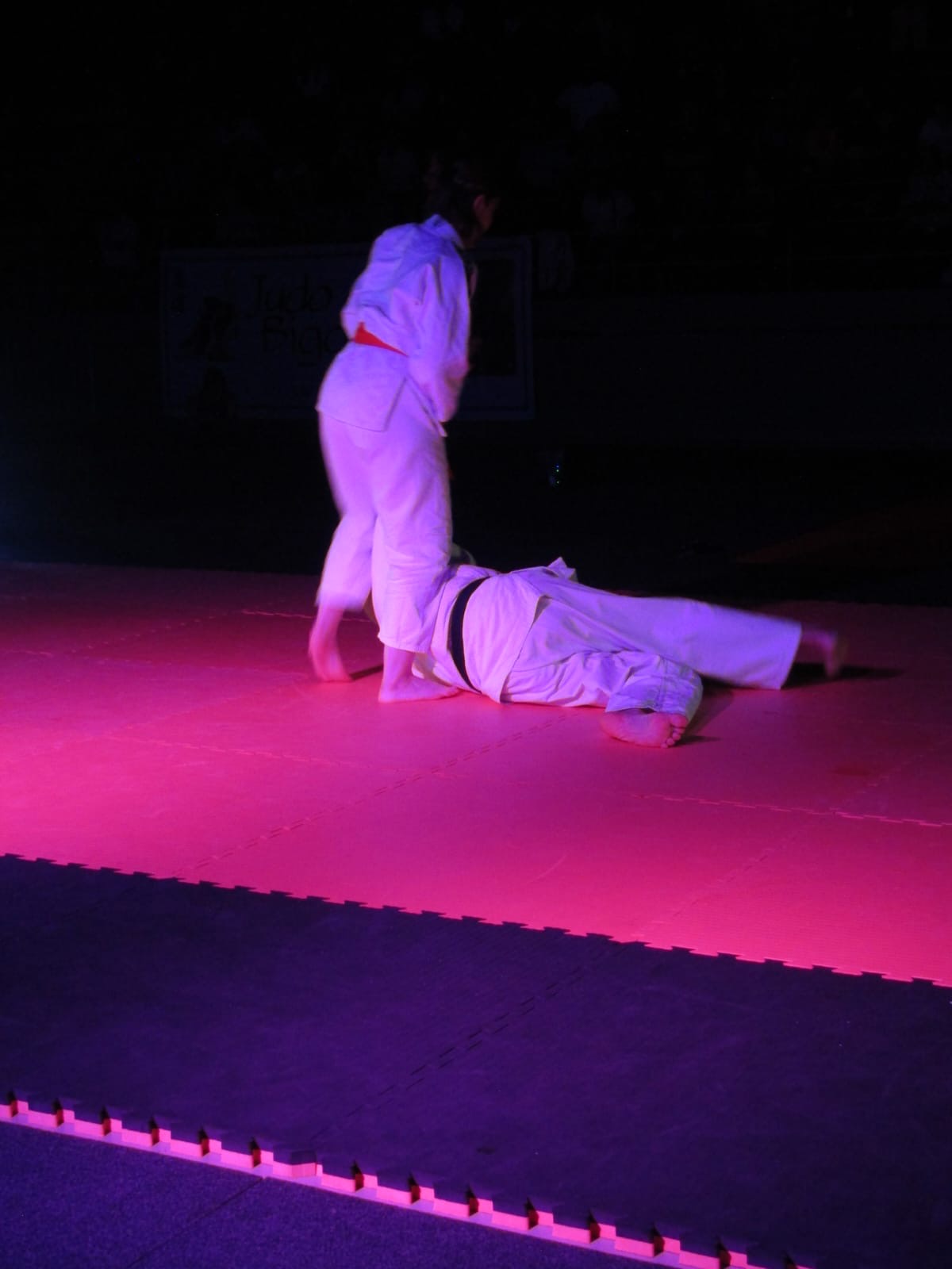 Nuits des Arts Martiaux - 9