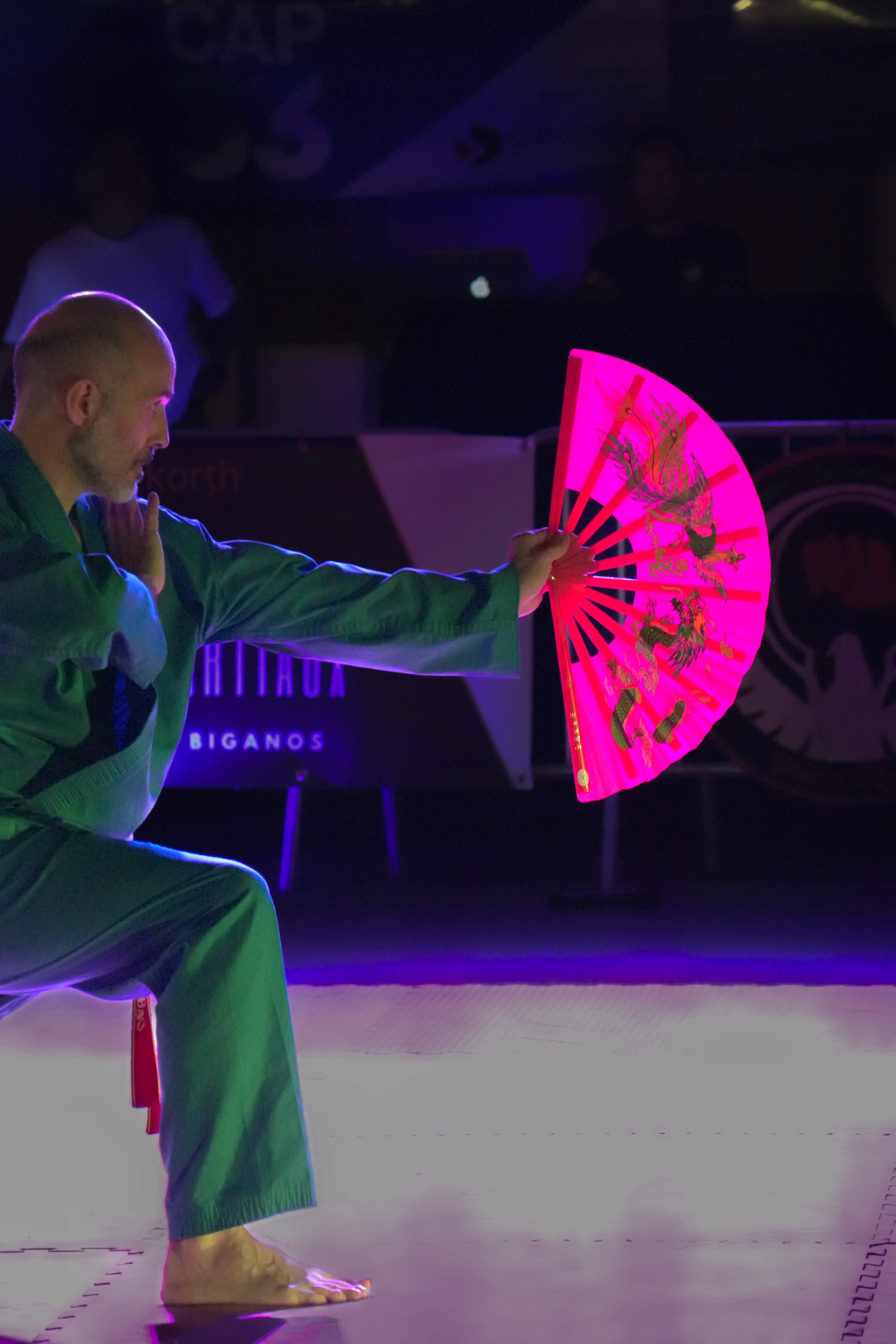 Nuits des Arts Martiaux - 7