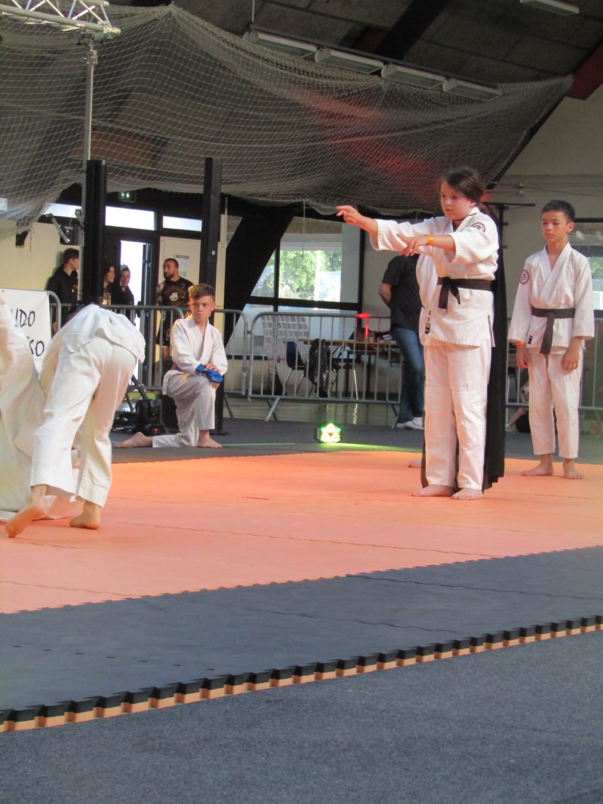 Nuits des Arts Martiaux - 2