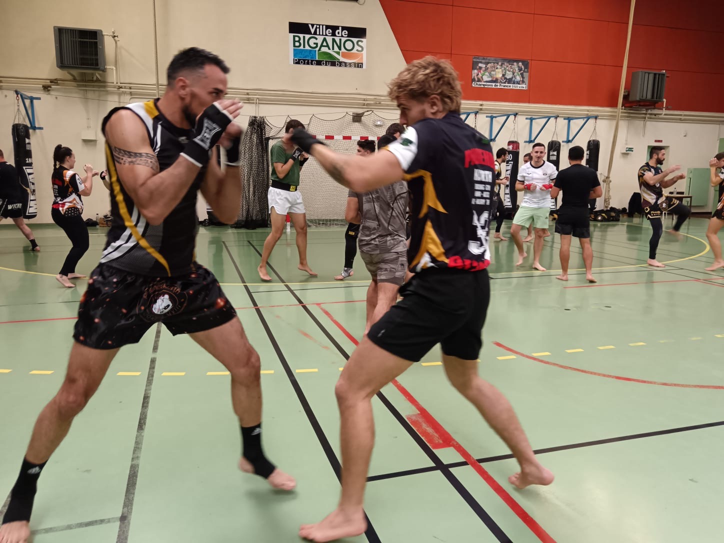 Stage et Champions - 9